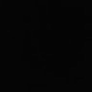 Meet your Posher, Brigette